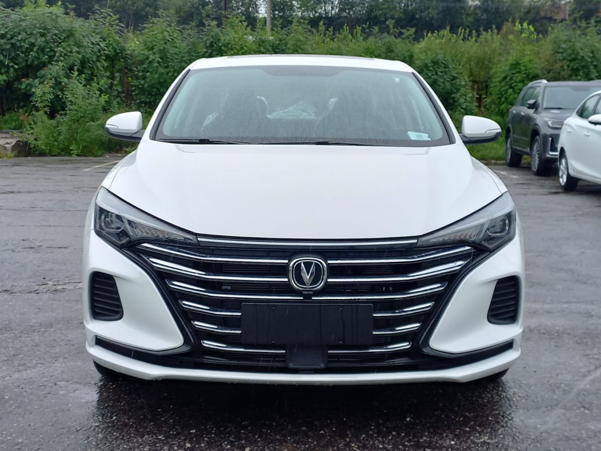 Легковой автотранспорт - CHANGAN Eado Plus 1.4 AMT (155 л.с.)