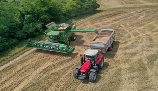 Сбор урожая зерновых: особенности, способы и рекомендации