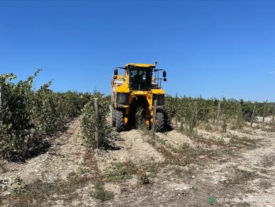 Прочее - GREGOIRE Самоходный виноградоуборочный комбайн GL8.6 