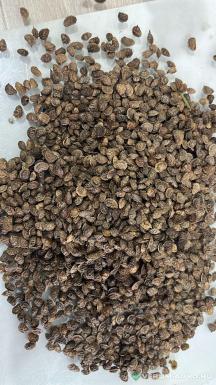 Семена эспарцета - Эспарцет ПЕСЧАНЫЙ 22, РС5