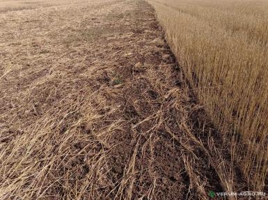 Дискаторы - ЩРЗ Лущильник дисковый цепной ЛД-12