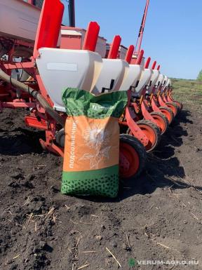 Семена подсолнечника - ЗКС Прогрессия