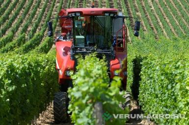 Прочее - ERO Виноградоуборочный комбайн  Grapeliner 5175X W090032XXNSE51218