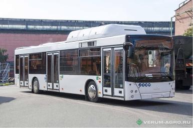 Автобусы - МАЗ 203948 