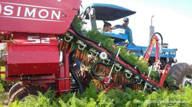 Специальные комбайны - SIMON S2DCMR Однорядный морковоуборочный комбайн (баз. компл.)