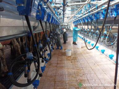 Доильное оборудование - DAIRYMASTER доильный зал «ПАРАЛЛЕЛЬ» 2Х20  Double up