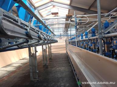 Доильное оборудование - DAIRYMASTER доильный зал «ПАРАЛЛЕЛЬ» 2Х20  Double up