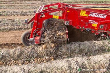 Прочее - GRIMME WH 200 Картофелекопалка WH 200 S 