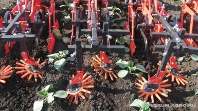 Культиваторы - TD STATINOV Прополочные культиваторы с внесением сухих  гранулированных удобрений и БЕЗ для овощей, ягод