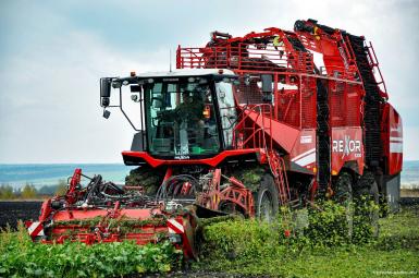 Свеклоуборочные комбайны - GRIMME REXOR 6300 PLATINUM Свеклоуборочный комбайн