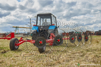 Валкователи - CELMAK LIMITED Грабли колесно-пальцевые прицепные ШТОРМ-10  с центральным колесом