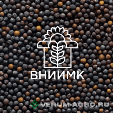 Семена рапса озимого - Семена рапса озимого ВНИИМК гибрид Дебют