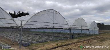 Теплицы - ХОЗАГРО-МС Ягодный туннель ТЯ-09 (ЯГОДА-1) 