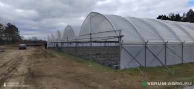 Теплицы - ХОЗАГРО-МС Ягодный туннель ТЯ-09 (ЯГОДА-1) 