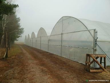 Теплицы - ХОЗАГРО-МС Ягодные туннели 