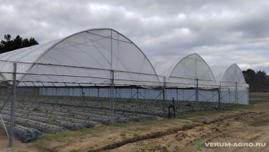 Теплицы - ХОЗАГРО-МС Ягодные туннели 