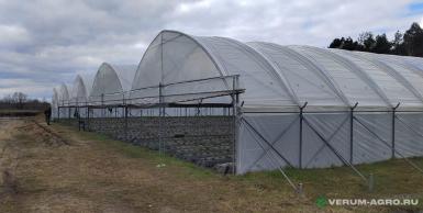 Теплицы - ХОЗАГРО-МС Ягодные туннели 