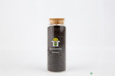 Семена рапса озимого - Семена рапса озимого ВНИИМК сорт Сармат
