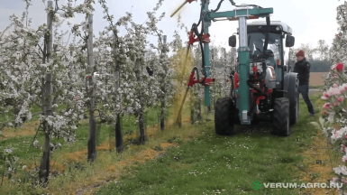 Прочее - CLEMENS  Прореживатель завязи FlexiTree  