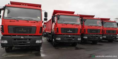 Грузовой автотранспорт - МАЗ - 650128-8570-005 самосвал 6х4