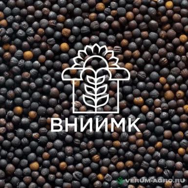 Семена рапса ярового - Семена ярового рапса ВНИИМК сорт Амулет

