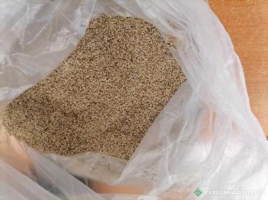 Семена кормовых трав - Тимофеевка