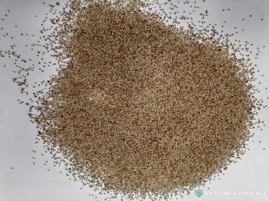 Семена кормовых трав - Тимофеевка