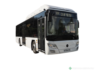 Автобусы - LOTOS 105 С02