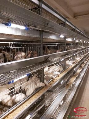 Прочее - СТИМУЛ ГРУПП Комплект клеточного оборудования КПР-4Н-00.000