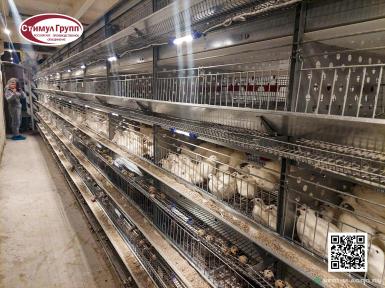 Прочее - СТИМУЛ ГРУПП Комплект клеточного оборудования КПР-4Н-00.000