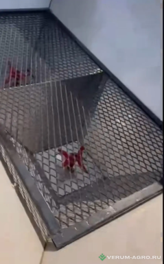 Разбрасыватели удобрений - LERMDA 2FX-1200 