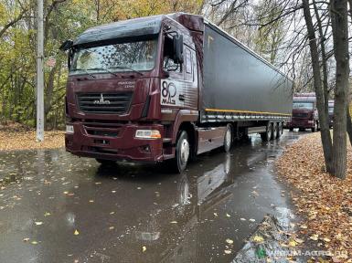 Грузовой автотранспорт - МАЗ 54402L-531-031 Юбилейная серия