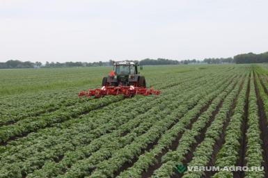 Культиваторы - GRIMME Окучник-гребнеобразователь GH 4