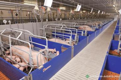 Прочее - БИГ ДАЧМЕН Технологическое оборудование для свинокомплекса 