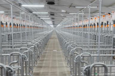 Прочее - БИГ ДАЧМЕН Технологическое оборудование для свинокомплекса 