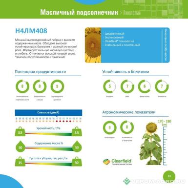 Семена подсолнечника - Посевной подсолнечник