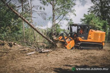 Мульчеры - FAE PT 300 Мульчер самоходный (гусеничный)