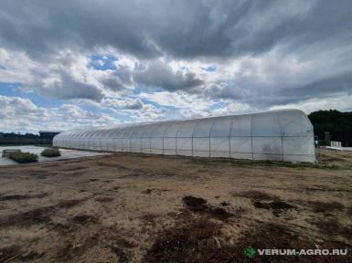 Теплицы - ХОЗАГРО-МС Теплица ТП-9.6 