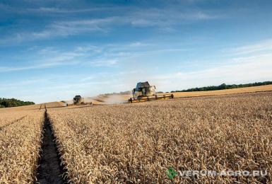 Зерноуборочные комбайны - NEW HOLLAND CX 8.80 