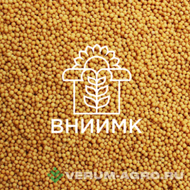 Семена горчицы - Семена горчицы озимой ВНИИМК сорт Вьюжанка