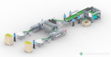 Упаковочное и фасовочное оборудование - СЕМЕР Линия по сортировке и упаковке яблок в ПЭ пакеты