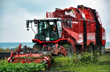 Свеклоуборочные комбайны - GRIMME REXOR 6300 PLATINUM
