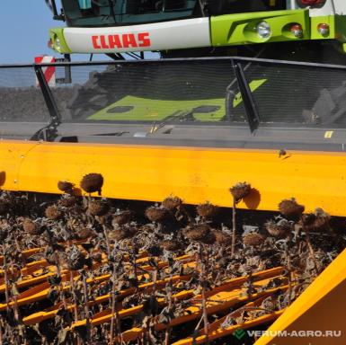 Жатки и оборудование для комбайнов - SUNMASTER NEO 8.4 