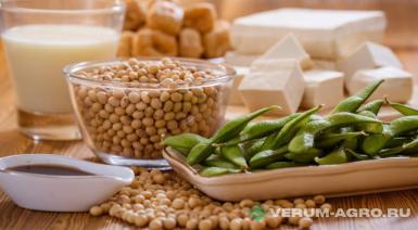 Семена сои - Соя Золотистая