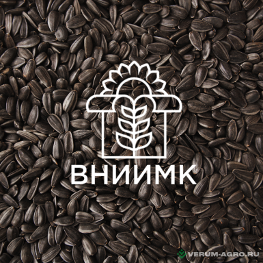 Семена подсолнечника - Семена подсолнечника ВНИИМК гибрид Клип ВО