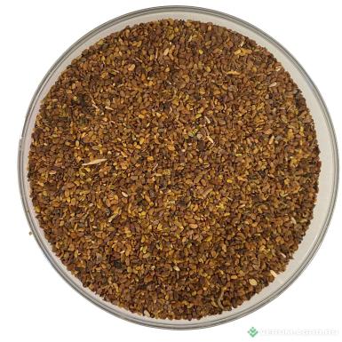 Семена люцерны - Люцерна 