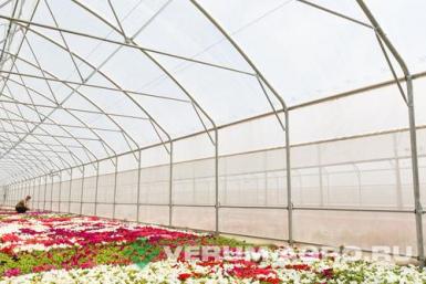 Теплицы - ИМПОТЭК 9,6х4,7х100 Теплица туннельная прямостенная