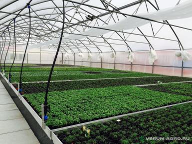 Теплицы - ИМПОТЭК 9,6х4,7х100 Теплица туннельная прямостенная