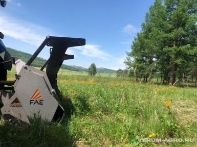 Мульчеры - FAE Patrizio 200 От ВОМ