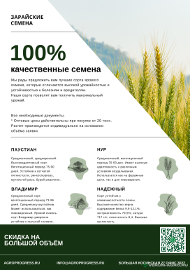 Семена ячменя - Ячмень яровой семена